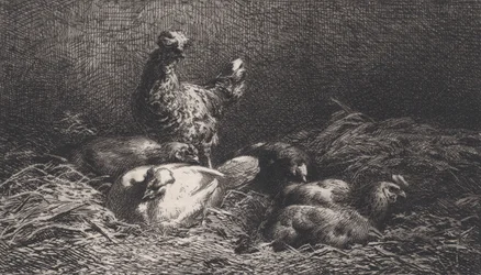 Poules, 1867