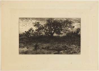 Impression