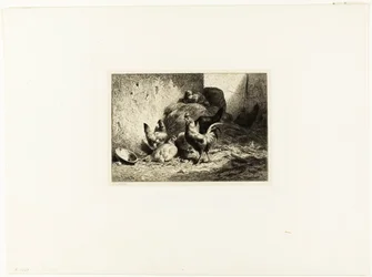 Coq et poules