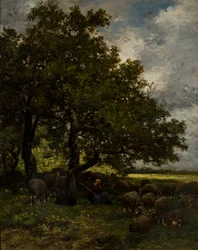 Paysage rural
