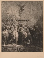 Enclos à moutons en Béarn