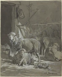 Moutons dans une mangeoire