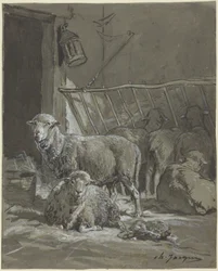 Moutons dans une mangeoire