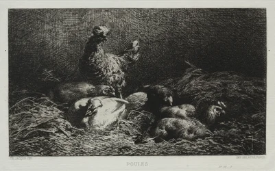 Les Poules