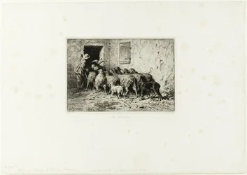 Les moutons rentrent à la maison