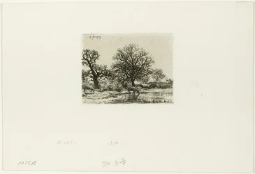 Arbres et vaches près d