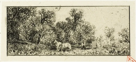 Deux chevaux dans un bois