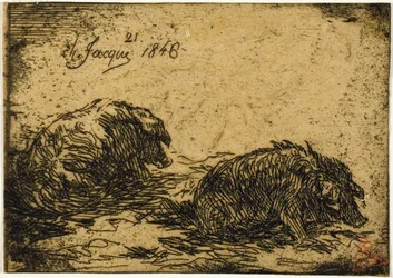 Deux cochons couchés