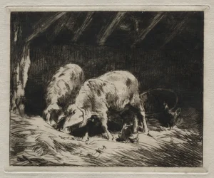 Deux porcs