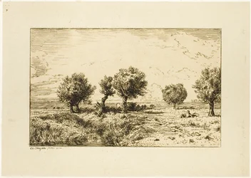 Saules dans un paysage