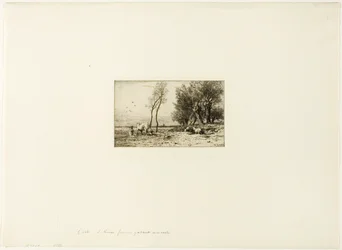 Paysage d