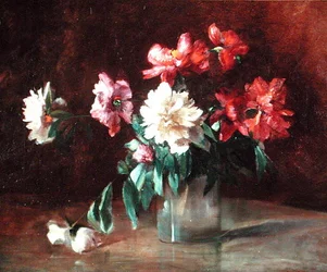 Pivoines dans un vase