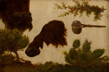 Étude pour « Le Bison blessé » : sauge de colline, tête et sabot de bison, baie de taureau, hache de pierre et cactus