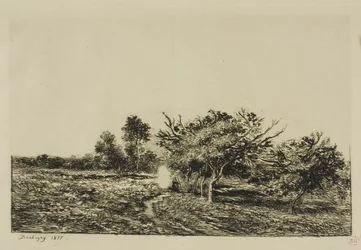 Pommiers à Auvers
