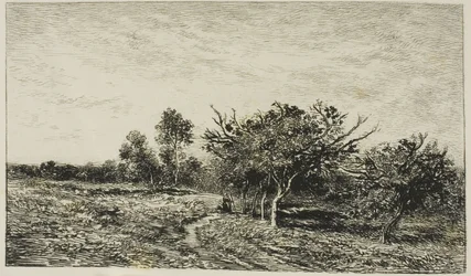Pommiers à Auvers
