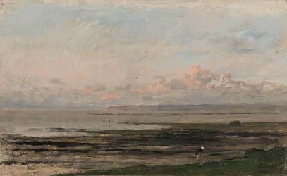 Plage à marée basse