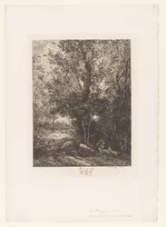 Forêt avec des bergers se reposant