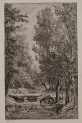 Ruisseau dans la vallée de Mondois