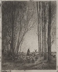 Rassemblement du troupeau