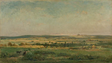 Récolte de céréales