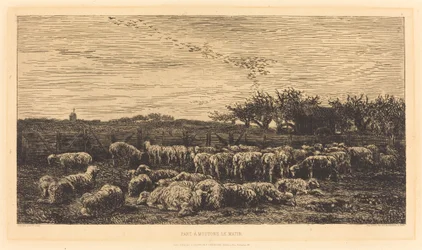 Le Grand parc à moutons