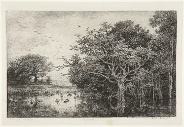 Le Marais aux cigognes