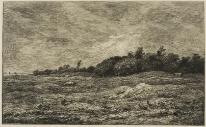 Le Pré des Graves à Villerville (Calvados)