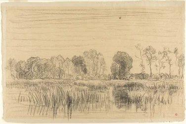 Marais et écran d