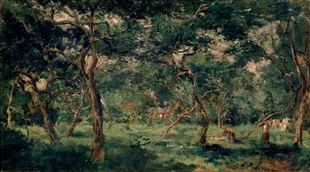 Oliveraie, début des années 1870