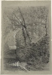 Chemin dans les bois