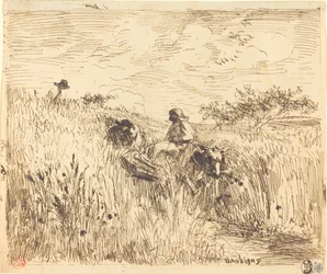 Sentier dans les blés