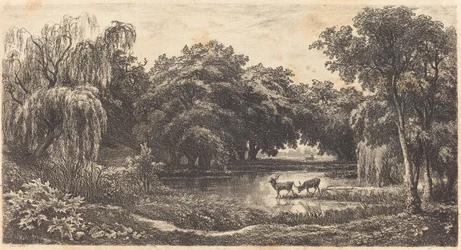 La mare aux cerfs