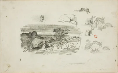 Croquis : Cadre rocheux et lapins