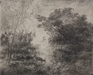 Cerfs