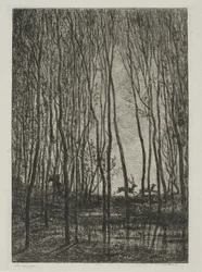 Cerfs dans les Bois