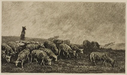 La montre du chien
