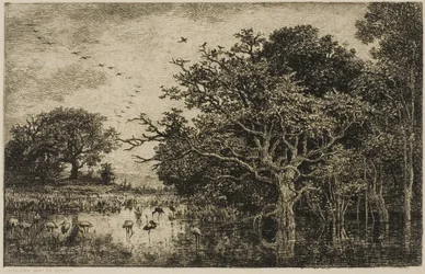 Le marais aux cigognes