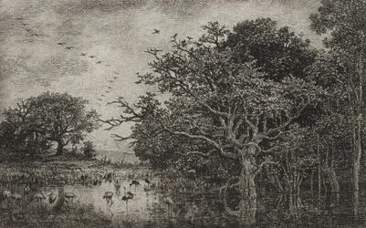 Le marais aux cigognes, vers 1851