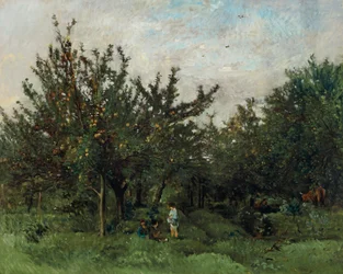 Un verger de pommes