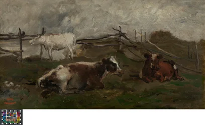 Vaches dans un pré