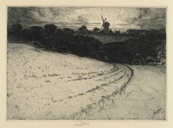 Matin, île de Canonicut