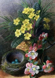 Apple Blossoms and Primroses. Nature morte avec un nid et des fleurs. Peinture de Charles Henry Slater (1820-1890) Collection privee