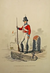 Un soldat des Royal Marines, gravé par Joseph Constantine Stadler, publié en 1815