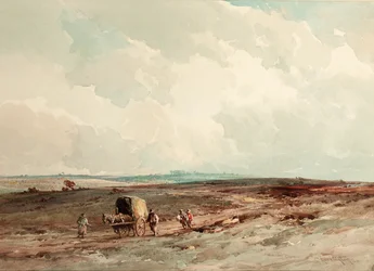 Sur la réserve forestière d