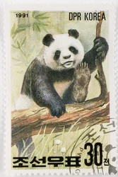 Timbre, Corée du Nord, Ailuropoda melanoleuca, Grand panda