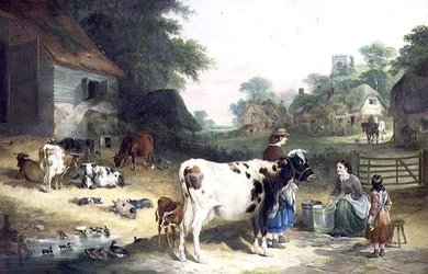 Bavardage de campagne