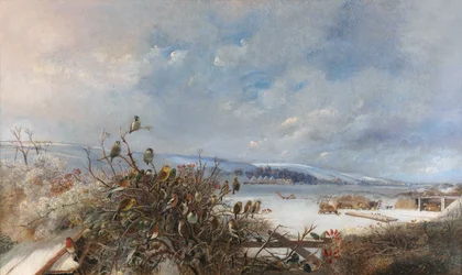 Les oiseaux d