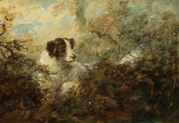 Chien