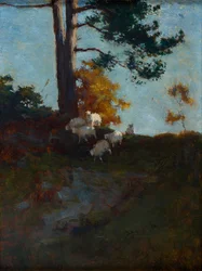 Coteau avec moutons