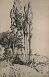 Cyprès près de Sienne, 1903